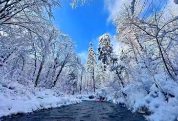 长白山原始生态第一漂一日游【原始生态  松江河/鲁能/万达】【体验冬季雾凇漂流 长白山西景区附近 大自然的景色】