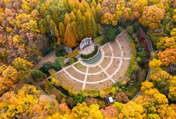 美龄宫+明孝陵+中山陵+音乐台+梧桐大道+钟山风景区一日活动【一次性领略南京的历史厚重与江南风情，拒绝走马观花】
