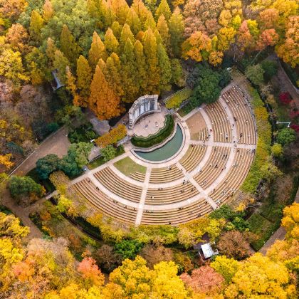 美龄宫+明孝陵+中山陵+音乐台+梧桐大道+钟山风景区一日活动