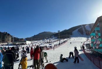 中国+新疆+阿勒泰将军山滑雪场+上门接送/可定制行程【中文司机专车VIP服务，一单一团，上门接送。】