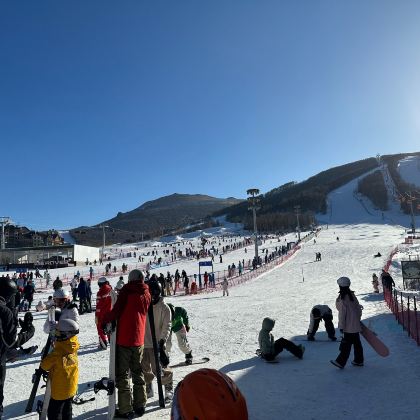 中国+新疆+阿勒泰将军山滑雪场+上门接送/可定制行程