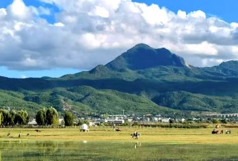 拉市海湿地公园+指云寺+长江第一湾【独特的古城魅力、壮丽的自然风光、丰富的民族文化、四季宜人的气候】