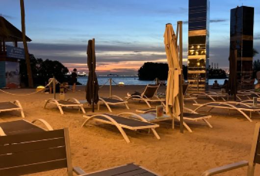 红树林生态与都市慢生活一日游【喜欢自然生态、皮划艇活动、追求悠闲都市节奏的游客。】