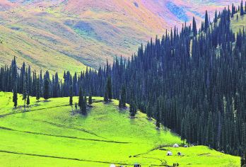 库尔德宁包车一日游【上门接送，车辆费用全含，门票自理】【[行程承诺]含车辆费用，油费，司机服务费，司机餐费】