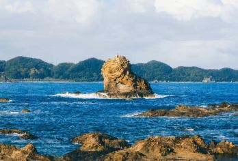 日本大阪-和歌山-白滨一日游12h-可关西周边日本全境&包车【包车一日游，解锁旅行新方式！独立车辆配备经验丰富的老司机，为您量身打造专属行程。】