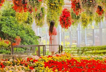 韩国京畿道| 加平海棠鸟园 X 铁路自行车 X 晨静树木园【赏花不再无趣～除了四季鲜花植物，室内有镜子和媒体艺术结合的视觉区】