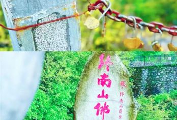 【直通车】终南山·南五台一日游·观云海【[赏心悦目]山顶的风景和那些美好的瞬间，值得你期待。】