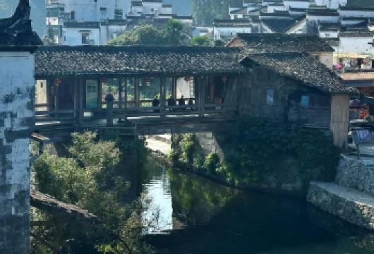 婺源东线包车8小时一天游/快速打卡篁岭+江湾+月亮湾+上坦【随心串联分散景点，避开团队人流，优享篁岭、江湾等地的静谧美景】