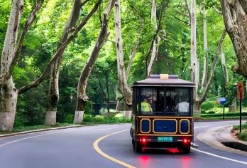 总统府|美龄宫|音乐台|中山陵|明孝陵梧桐|10成人精品小团【精品小团出行更私密，细品从清代到民国的半部近代史变迁】