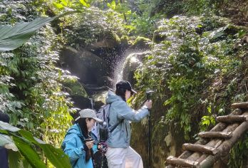 高黎贡山青岩子徒步一日游【荒野秘境 森林徒步5-10公里】【专业向导、户外烧烤、荒野厨房、露天温泉】