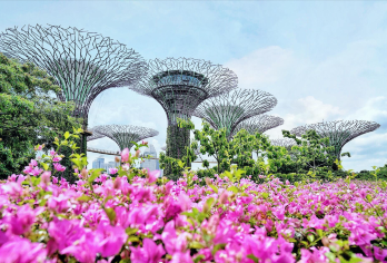 解锁新加坡高光：从地标鱼尾狮到度假圣淘沙，1 日沉浸玩透核心【从历史悠久的寺庙到时尚现代的新潮酒吧，体验浓厚的文化氛围】