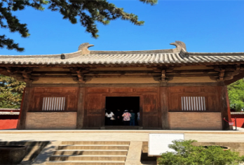 8人拼小团-佛光寺+南禅寺一日游商务车太原环内上门接送【[精致小团]3-8人拼小团，一价全含】