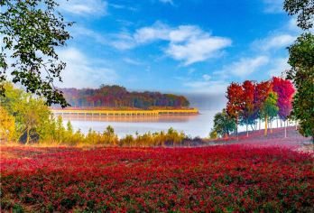 南京赏秋周边游：枫彩漫城+平山森林公园【全程包车 专属服务】