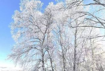 乌兰布统塞北雪乡穿越半日游【激情体验：越野车深度穿越（约3-4小时）深雪徒步】