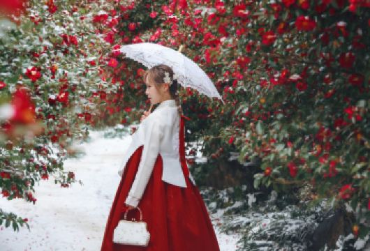 济州岛西南线/小羊肖恩+山茶花之丘+追海豚+狭才浴场/市区接【亮点一：（精品纯玩，快来占坑）济州本地旅行社发团，多年驾龄中文司机带队安全驾驶，沉浸式打卡济州之美】