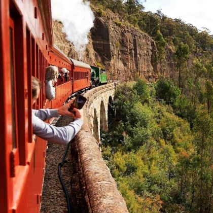 悉尼百年蒸汽火车+蓝山观景台+托马山植物园一日游【含小费】