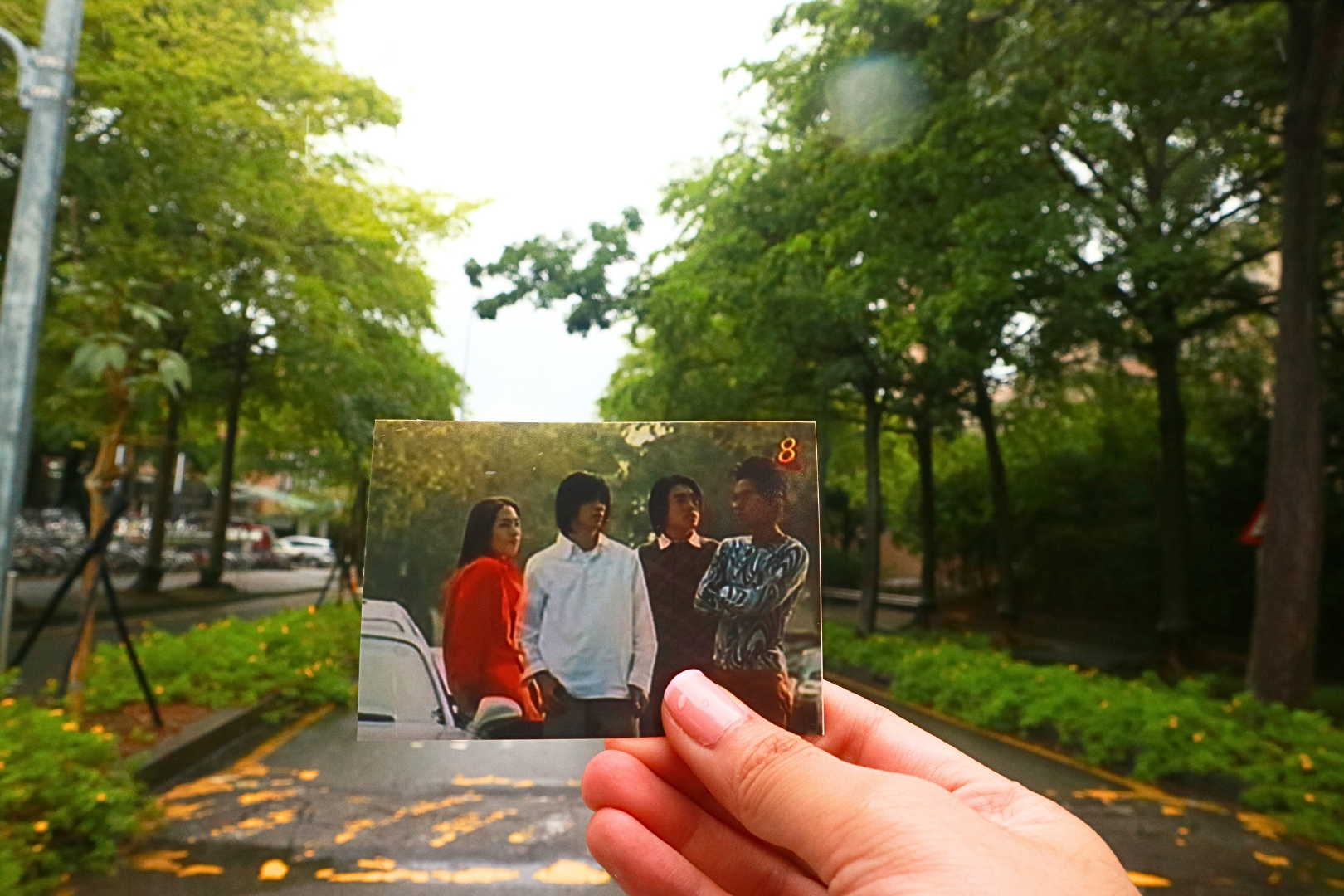 嘉义中正大学+中社花市一日游【台北出发｜流星花园青春之旅】