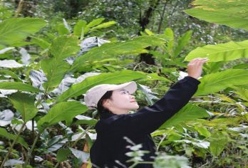 腾冲高黎贡山五道溪一日游【5km 荒野小灶 小团2-8人】【[轻徒步]近距离接触大自然，探秘世界物种基因库】