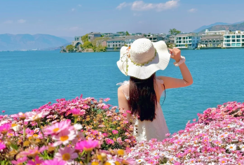 丽江出发+大理一日游【全景环洱海+纯玩无购物+一价全含+餐】【[缤纷景点]360°环游洱海：我们不只去单一景点，而是带您车行环海路，不错过任何一处精华。】