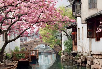 嘉兴乌镇+东栅+南浔+南浔夜景一日游 精选纯玩中小团 零套路【1.品质保证 ：纯玩团，不进任何购物店，不去景中购物店，真正的做到享受旅游而非忍受旅游。】