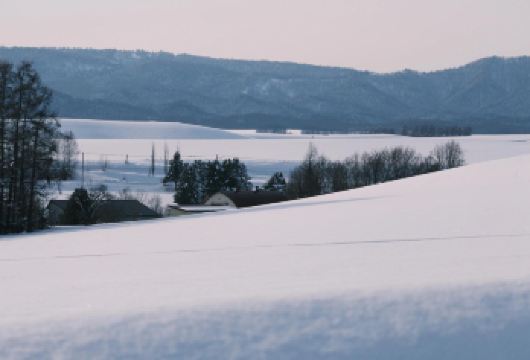日本北海道旭川美瑛｜白须瀑布｜孤独圣诞树｜札幌往返｜中文专车【尊享一对一高端行程定制，多日豪华包车专属礼遇，专业旅行顾问24小时恭候垂询。】