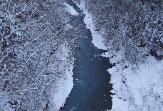 日本北海道旭川美瑛｜白须瀑布｜孤独圣诞树｜札幌往返｜中文专车【尊享一对一高端行程定制，多日豪华包车专属礼遇，专业旅行顾问24小时恭候垂询。】