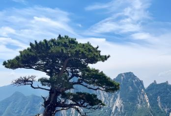 西安华山纯玩包车游【代约门票  酒店接送 可选陪爬服务】【华山定制包车游 VIP服务 可提供导游 策划行程 车型可选】