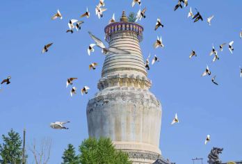 山西太原五台山一日拼车游（4-8人小团）+五台山门票【4-8人小团畅享游，全程0购物0擦边，保障纯玩品质】