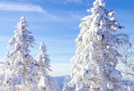 【可选小团】哈尔滨市区出发雪乡一日游+雪地摩托+画廊+雪乡【[哈尔滨市区出发当日往返雪乡]索菲亚教堂出发，不早起赶火车，无隐形交通成本，一站欣赏雪乡美景】