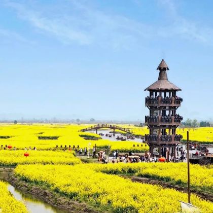 泰州兴化千垛景区+李中公园包车游【泰州出发，春日赏花】