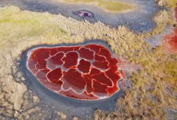 阿拉善左旗腾格里沙漠一日游【赠航拍+越野车+免门票】五湖穿越【[五湖穿越·腾格里沙漠] 纯玩越野团深入阿拉善无人区，打卡乌兰湖“地球心脏”、骆驼湖等五大秘境】