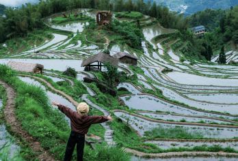 浙江丽水：古堰画乡+云和梯田+七星墩+白银谷 景点可定制G【全程中文/英文/俄语/小语种服务，沟通无障碍，景点可调,多种车型可选】