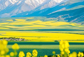 下午出发日月山+金沙湾+同宝山丨赏晚霞日落去看不一样的青海湖【[线路特色]13点市区上门接送 山不见我，我去见山俯瞰不一样的“蓝宝石”青海湖收集大自然的美丽】