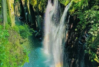 宫崎一日游白川水源＋高千穗峡+天岩户神社 可选特色午餐福冈发【乘坐观光巴士从福冈出发，省时省心省力】