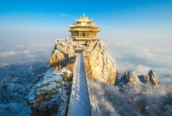 河南洛阳老君山景区一日游【直达索道|多班车次|无需换乘】JC【[本土发团]当地土著旅行社不转团不卖团！】