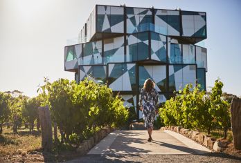 南澳洲菲尔半岛一日游魔方酒庄+马拉电车+蒸汽火车+羊驼农场【网红打卡地：洞穴海滩Port Willunga Beach】