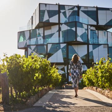 南澳洲菲尔半岛一日游魔方酒庄+马拉电车+蒸汽火车+羊驼农场