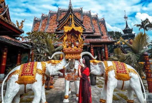 【18人纯玩】野象谷+傣族园一日游丨金牌导游丨甄选纯玩【[优选路线]当地权威一手地接，专业经营纯玩，正规运营车辆、持证上岗司机，规范操作，您安心出游即可】