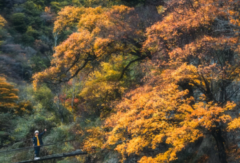 【2-8人保姆车】毕棚沟+达古冰川+九寨沟+黄龙+四姑娘山【推荐理由：1、9座保姆车出游、0自费0购物 2、赠送：氧气+矿泉水+旅游三宝】