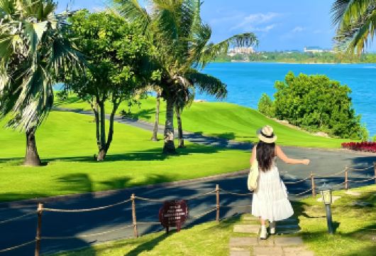 三亚私人一日游【体验当地市井生活，或探索免税**品购物。 在海棠湾的隐秘海滩，**一场私密日出。 徒步穿越热带水道和椰林岛的棕榈树林。】