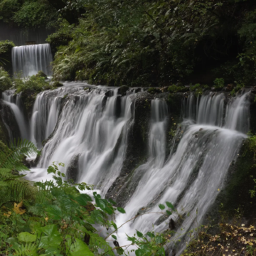 日本轻井泽|包车定制一日游（行程自定 中文司机 上门接送）