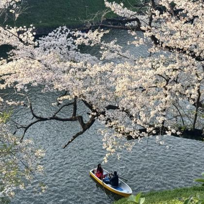 东京小众游（东京都社/三得利/表参道/代官山/北之丸）不含票