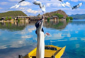 云南丽江泸沽湖一日游8人团纯玩不进店+全景环湖+猪槽船游湖【[纯玩品质]认准本土旅行社有保障（警惕外省旅行社转卖赚差价）真纯玩不进店·不进摩梭家访！】