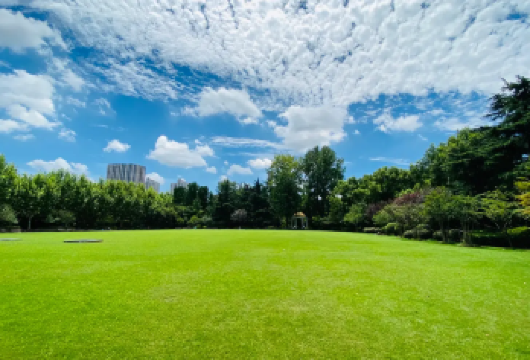 上海历史建筑city wallk一日游【沿途可以欣赏到上海特色的历史建筑，感受上海曾经经历的沧桑。】