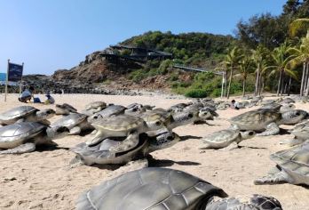 海南三亚南山寺+西岛+天涯海角一日游【专业司机+优质服务+开心旅行】