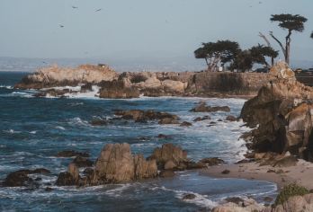 美国旧金山往返半月湾-蒙特雷-卡梅尔17里等景点包车-精选【专属客服和本地中文司机，一家一团包车】