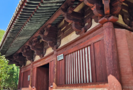 长治天台庵+原起寺+大云院+金灯寺一日游【长治出发/包车】【升级一:晚起!慢玩!1对1包车服务,畅玩8.5H,一次玩个够】