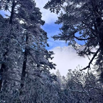 【私家团】海螺沟一日游【含景区观光车】