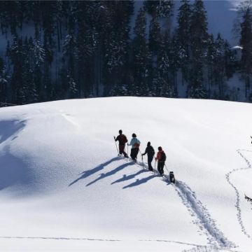 瑞士经典线路：苏黎世出发--瑞吉山+卢塞恩一日游【中文包车】