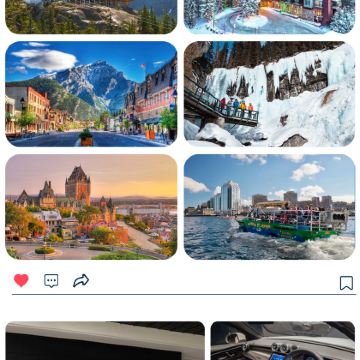 多伦多动物园+多伦多华埠+多伦多伊顿中心+古酿酒厂一日游